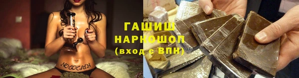 таблы Гусев