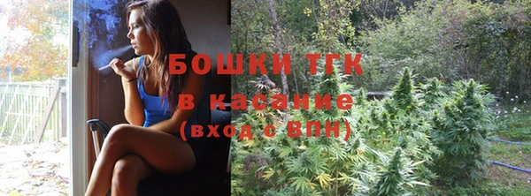 амф Гусь-Хрустальный