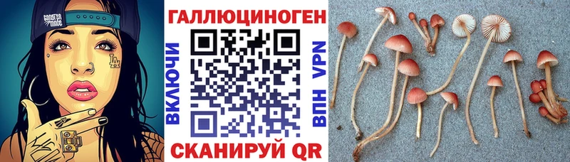 Галлюциногенные грибы прущие грибы  Долинск 