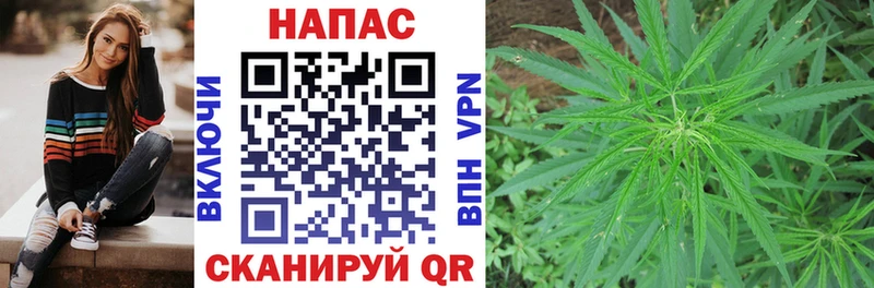 Канабис сатива  купить наркоту  Долинск 